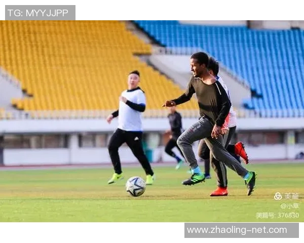 布流浪与斯蒂文尼奇的激烈对决展现足球魅力与团队精神