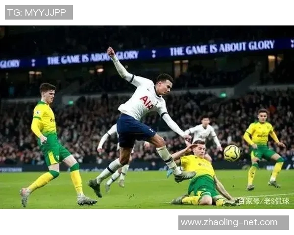 热刺与诺维奇精彩对决瞬间回顾图片集锦分享